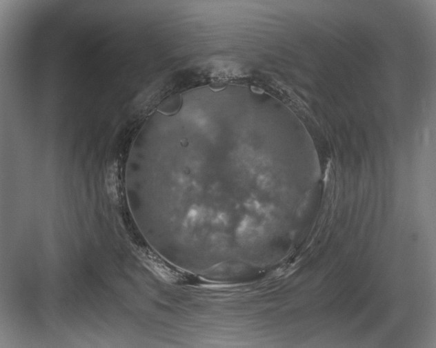 X0000084030519200702161438