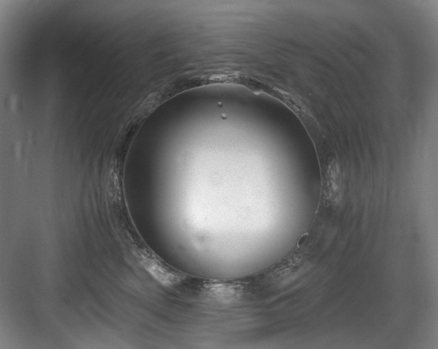 X0000084030522200702161438