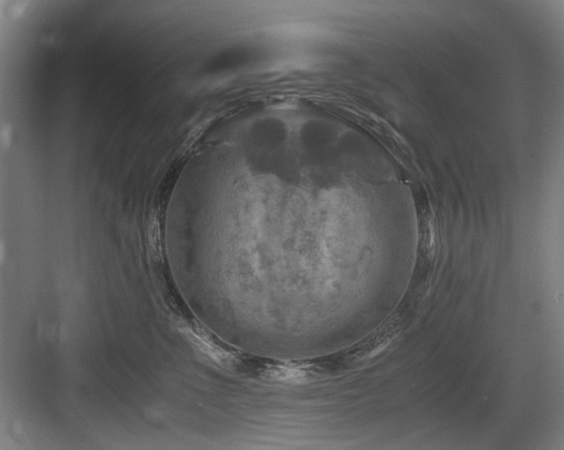 X0000084030523200702161438