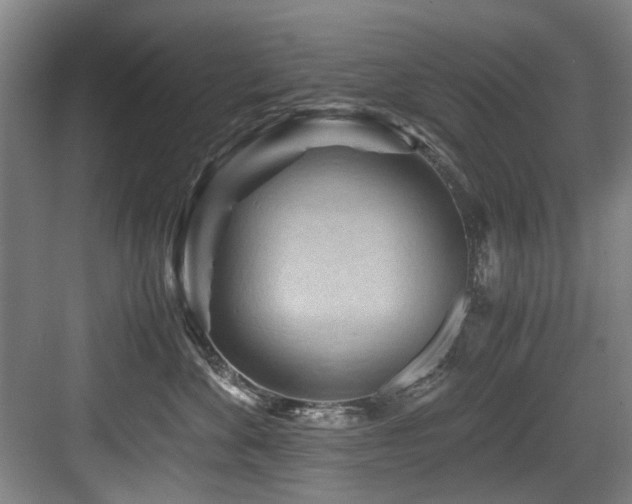 X0000084030524200702161438