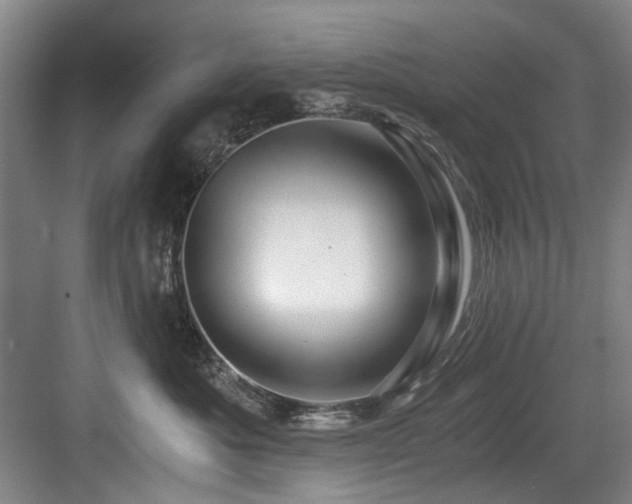 X0000084030525200702161438