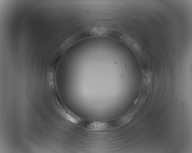 X0000084030526200702161438