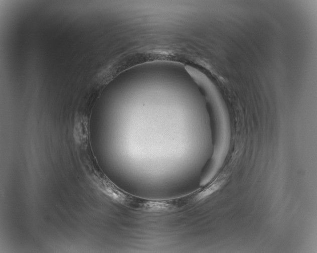 X0000084030528200702161438