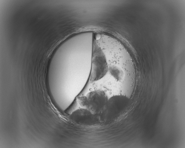 X0000084030529200702161437