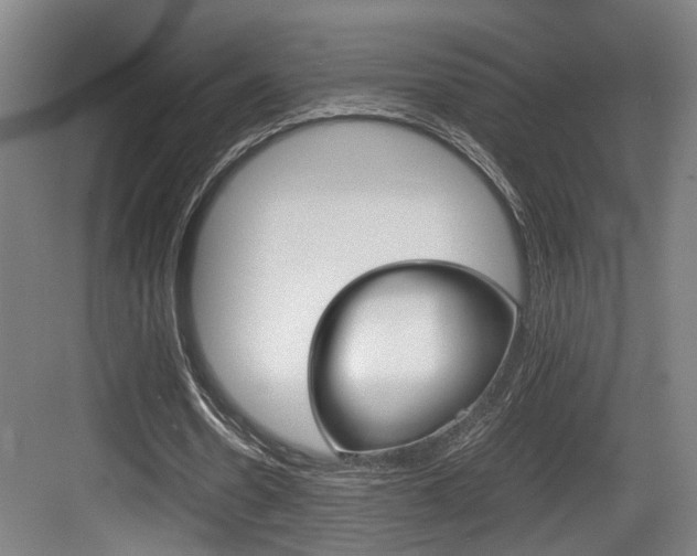 X0000084030530200702161437