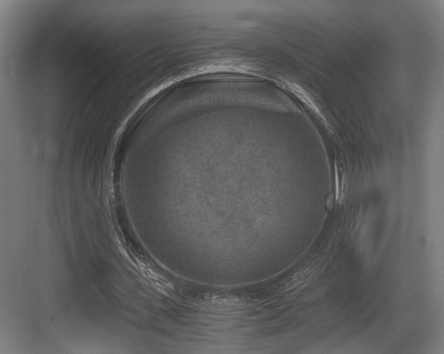 X0000084030531200702161437