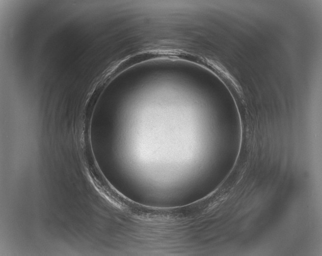 X0000084030533200702161437