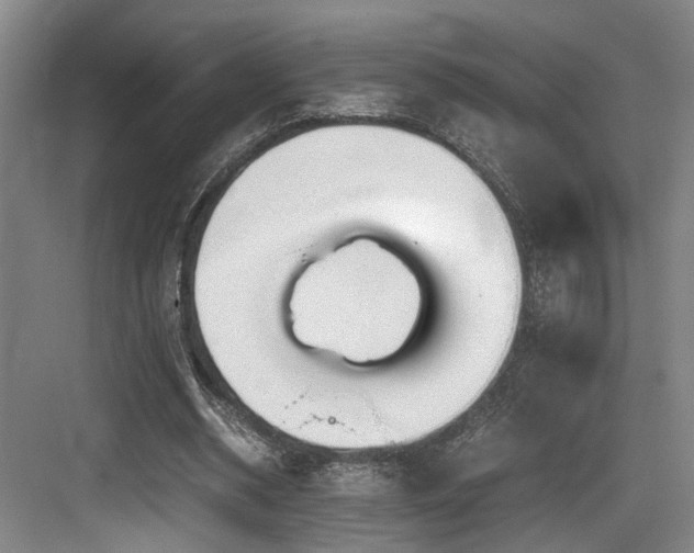 X0000084030534200702161437