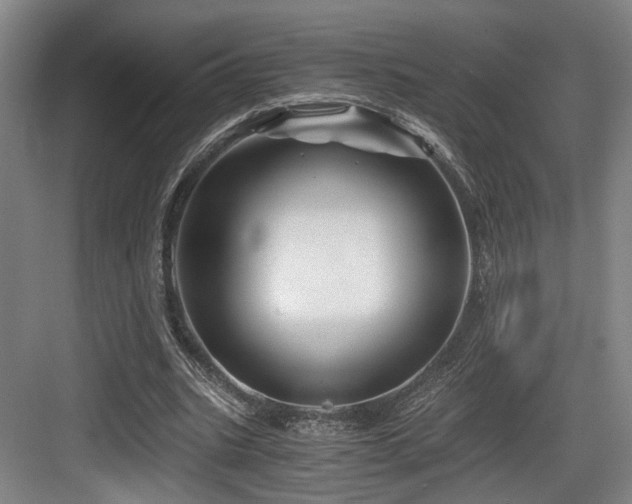 X0000084030535200702161437