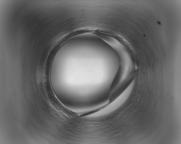 X0000084030536200702161437