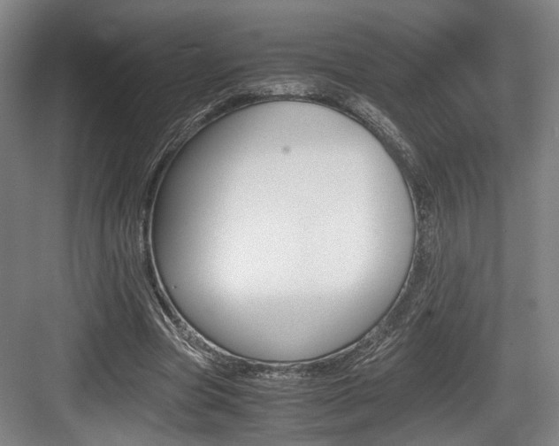 X0000084030537200702161437