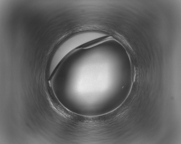 X0000084030538200702161437