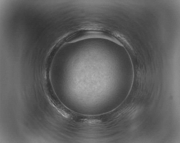 X0000084030539200702161437