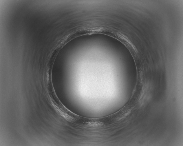 X0000084030541200702161437