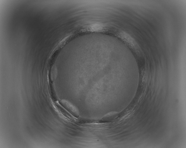 X0000084030542200702161437