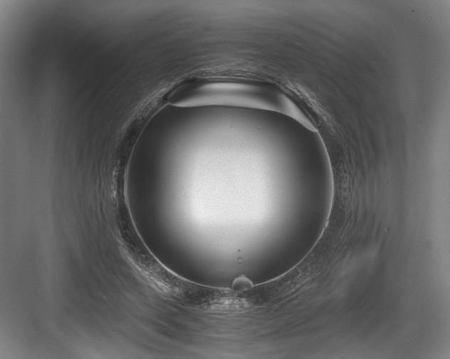 X0000084030543200702161437