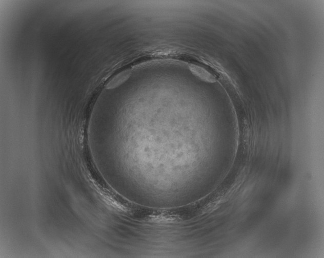 X0000084030545200702161437