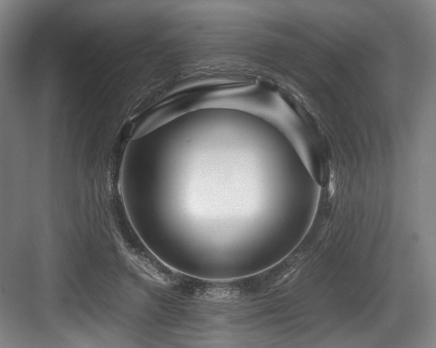 X0000084030546200702161437