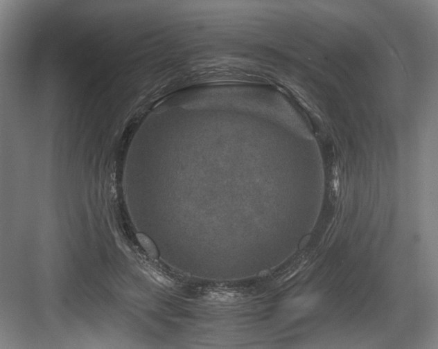 X0000084030547200702161437