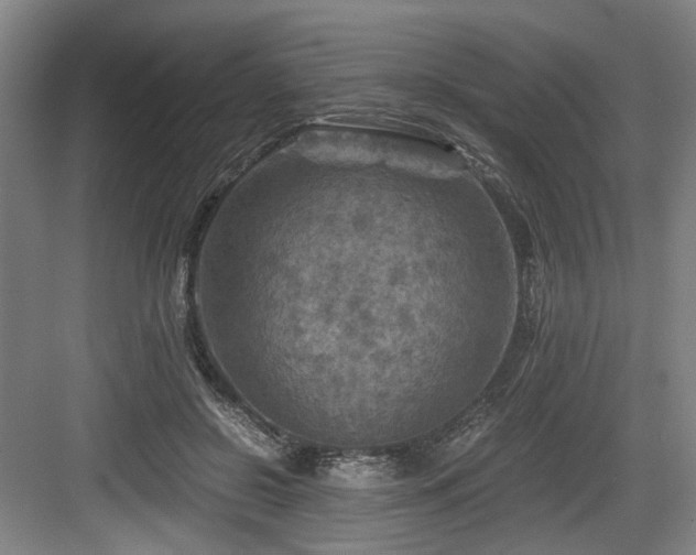 X0000084030550200702161437