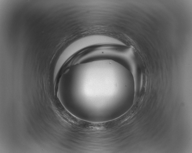 X0000084030552200702161437