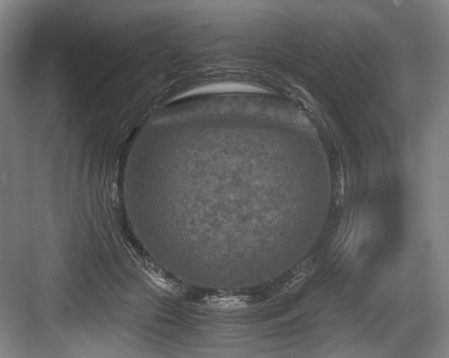 X0000084030553200702161437