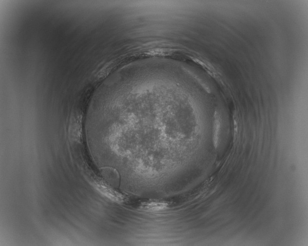 X0000084030554200702161437