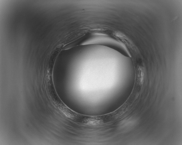 X0000084030555200702161437