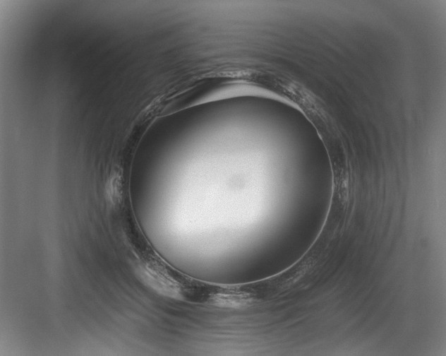 X0000084030556200702161437