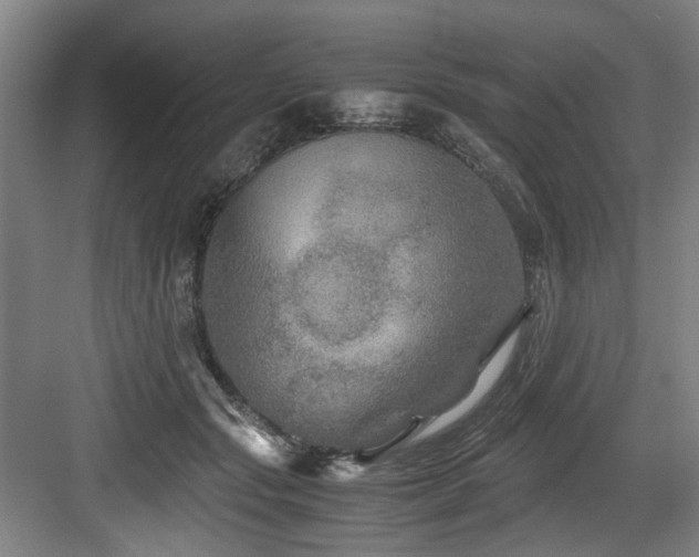 X0000084030557200702161437