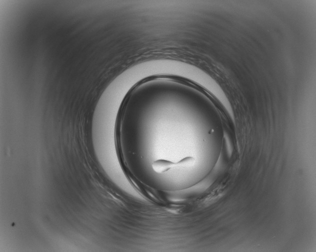 X0000084030558200702161437