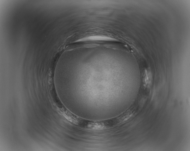 X0000084030559200702161437