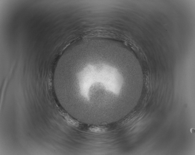 X0000084030561200702161437