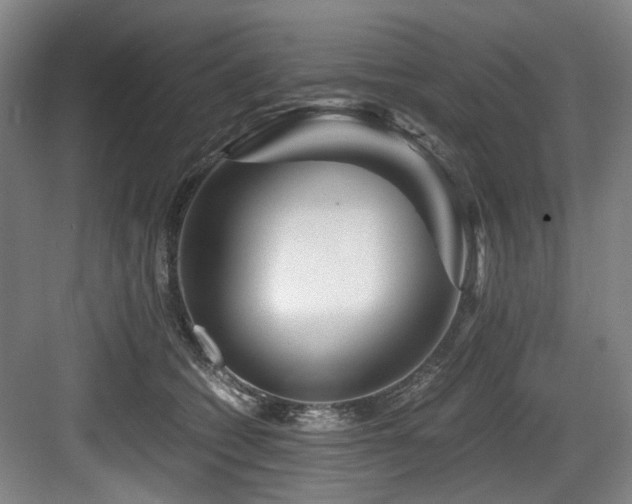 X0000084030562200702161437