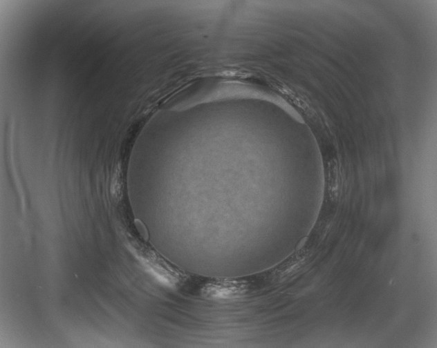 X0000084030563200702161437