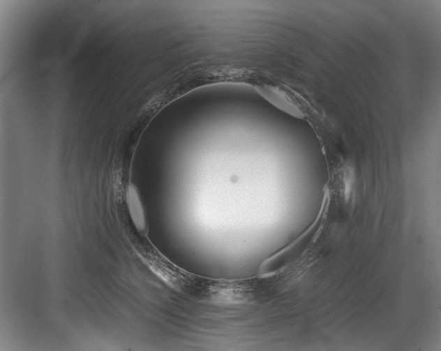 X0000084030564200702161437