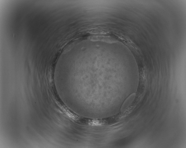 X0000084030565200702161437