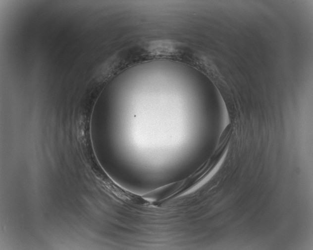 X0000084030567200702161437