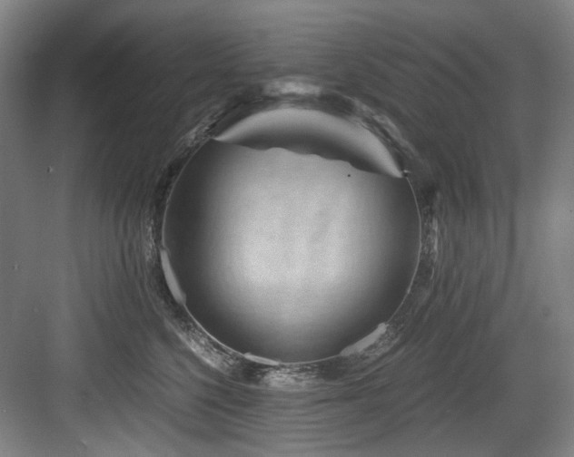 X0000084030568200702161437