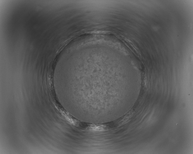 X0000084030569200702161437