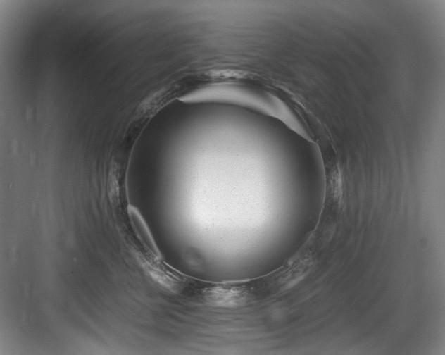 X0000084030570200702161437