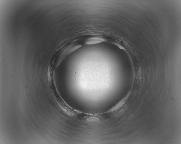 X0000084030572200702161438