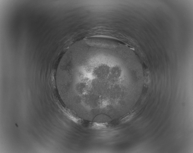 X0000084030573200702161438