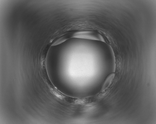 X0000084030574200702161438