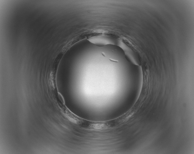 X0000084030575200702161438