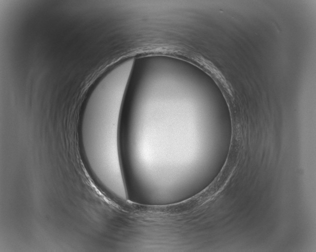 X0000084030577200702161437