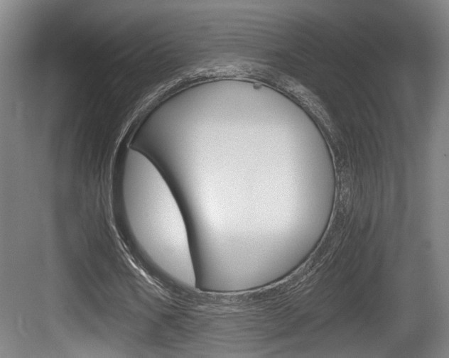 X0000084030578200702161437