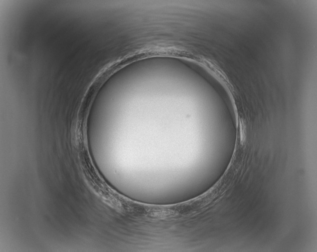 X0000084030579200702161437