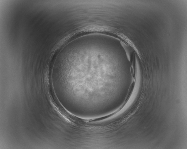 X0000084030581200702161437