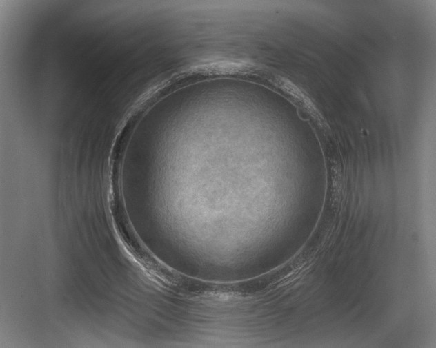 X0000084030582200702161437